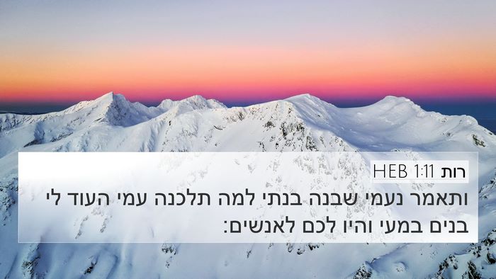 רות 1:11 HEB Bible Verse Image