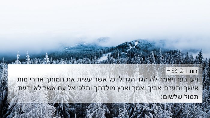 רות 2:11 HEB 4K Wallpaper - ויען בעז ויאמר לה הגד הגד - 4K Wallpaper Bible Verse