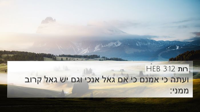 רות 3:12 HEB Bible Verse Image