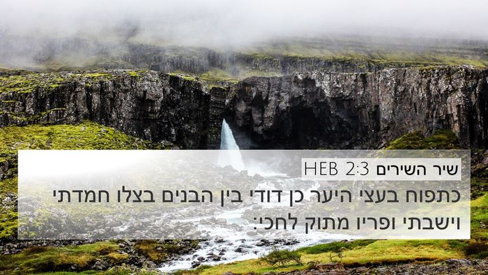 שיר השירים 2:3 HEB Bible Verse Image