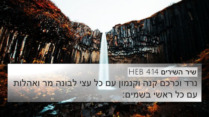 שיר השירים 4:14 HEB Bible Verse Image