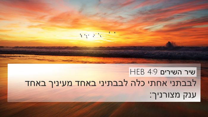 שיר השירים 4:9 HEB Bible Verse Image