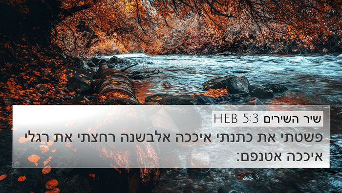 שיר השירים 5:3 HEB 4K Wallpaper - פשטתי את כתנתי איככה - 4K Wallpaper Bible Verse