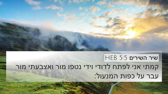שיר השירים 5:5 HEB Bible Verse Image