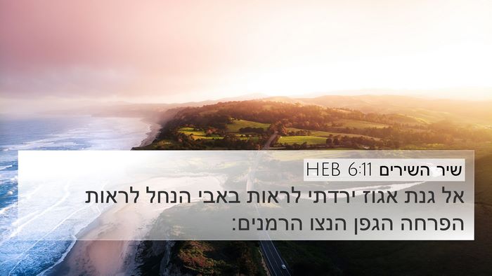שיר השירים 6:11 HEB Bible Verse Image