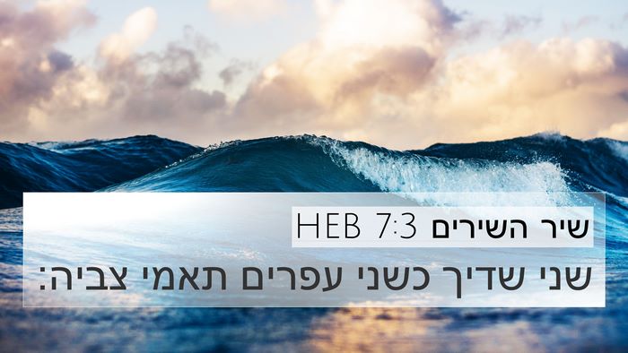 שיר השירים 7:3 HEB 4K Wallpaper - שני שדיך כשני עפרים תאמי - 4K Wallpaper Bible Verse