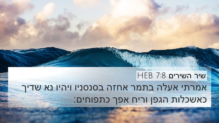 שיר השירים 7:8 HEB Bible Verse Image