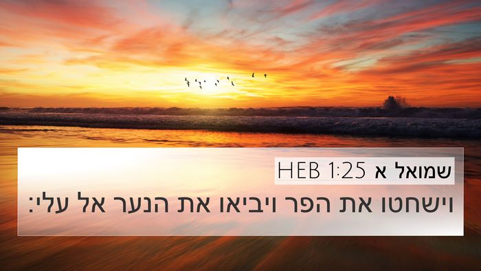 שמואל א 1:25 HEB 4K Wallpaper - וישחטו את הפר ויביאו את - 4K Wallpaper Bible Verse