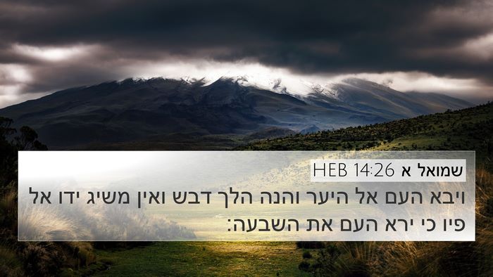 שמואל א 14:26 HEB Bible Verse Image