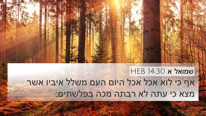 שמואל א 14:30 HEB 4K Wallpaper - אף כי לוא אכל אכל היום העם - 4K Wallpaper Bible Verse