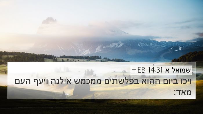 שמואל א 14:31 HEB Bible Verse Image