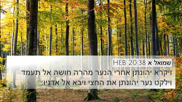 שמואל א 20:38 HEB Bible Verse Image
