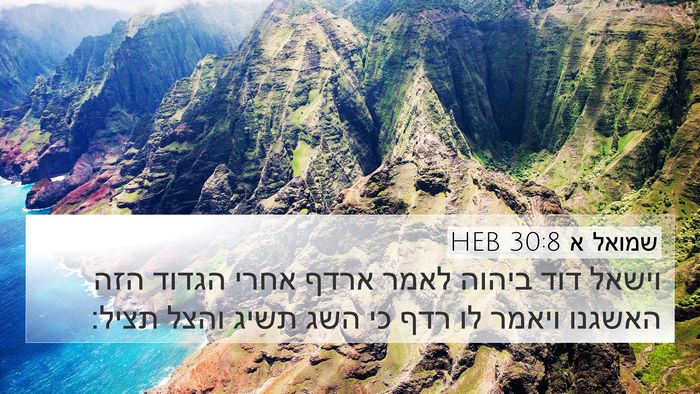שמואל א 30:8 HEB Bible Verse Image