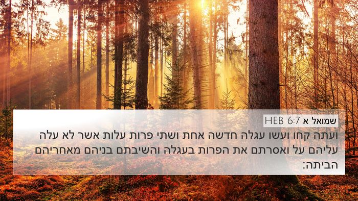 שמואל א 6:7 HEB Bible Verse Image