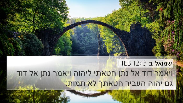 שמואל ב 12:13 HEB Bible Verse Image