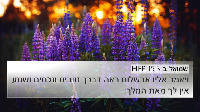 שמואל ב 15:3 HEB Bible Verse Image