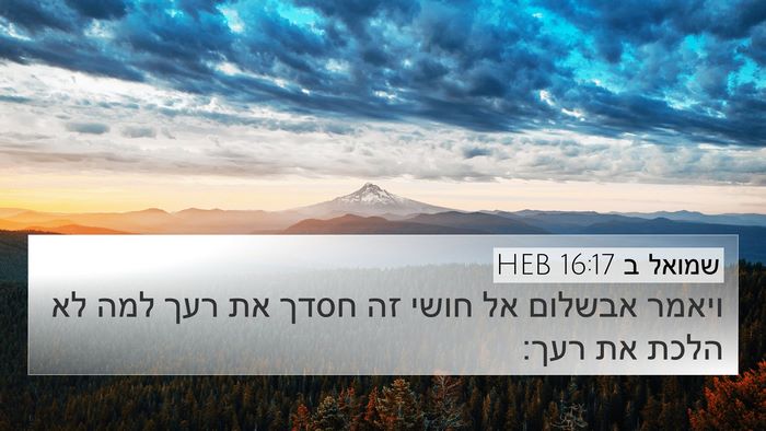 שמואל ב 16:17 HEB Bible Verse Image