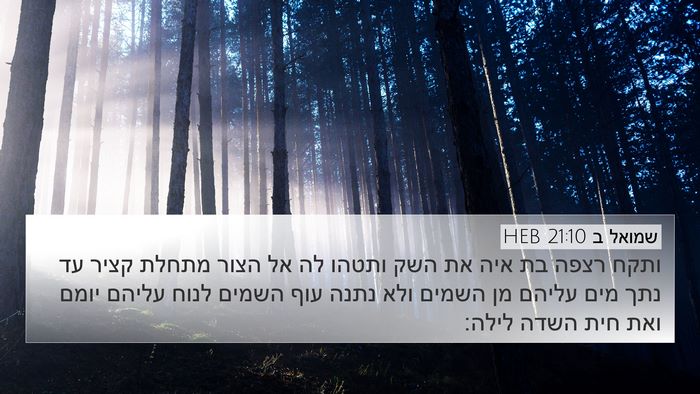 שמואל ב 21:10 HEB 4K Wallpaper - ותקח רצפה בת איה את השק - 4K Wallpaper Bible Verse