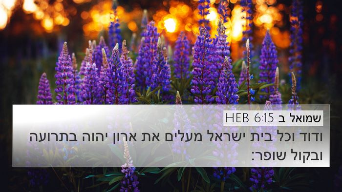 שמואל ב 6:15 HEB Bible Verse Image