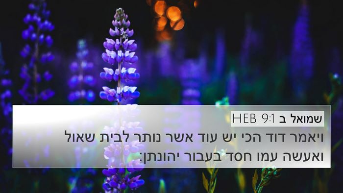 שמואל ב 9:1 HEB Bible Verse Image