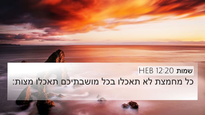 שמות 12:20 HEB 4K Wallpaper - כל מחמצת לא תאכלו בכל - 4K Wallpaper Bible Verse