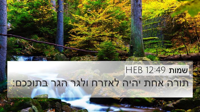 שמות 12:49 HEB Bible Verse Image