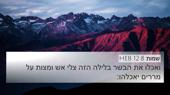 שמות 12:8 HEB Bible Verse Image