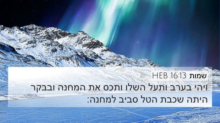 שמות 16:13 HEB Bible Verse Image
