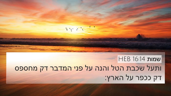 שמות 16:14 HEB Bible Verse Image