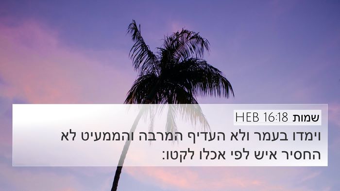 שמות 16:18 HEB Bible Verse Image