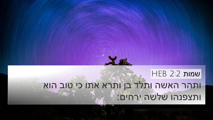 שמות 2:2 HEB Bible Verse Image