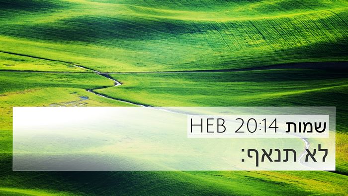 שמות 20:14 HEB Bible Verse Image