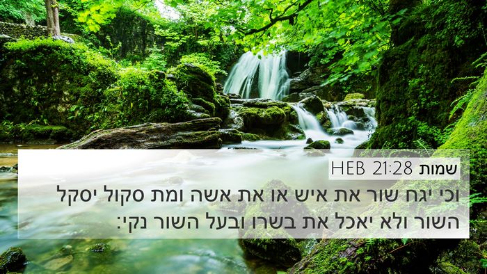 שמות 21:28 HEB Bible Verse Image