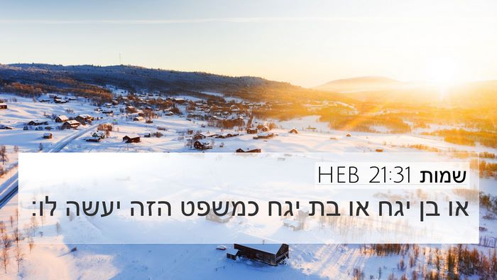 שמות 21:31 HEB 4K Wallpaper - או בן יגח או בת יגח כמשפט - 4K Wallpaper Bible Verse