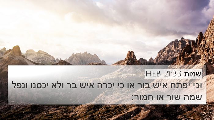 שמות 21:33 HEB Bible Verse Image
