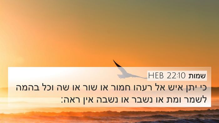 שמות 22:10 HEB 4K Wallpaper - כי יתן איש אל רעהו חמור או - 4K Wallpaper Bible Verse