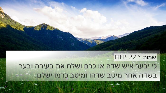 שמות 22:5 HEB Bible Verse Image