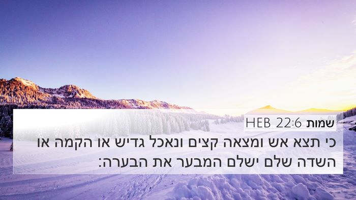 שמות 22:6 HEB Bible Verse Image