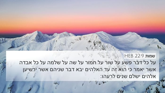 שמות 22:9 HEB Bible Verse Image
