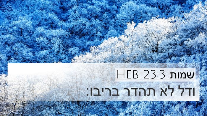 שמות 23:3 HEB 4K Wallpaper - ודל לא תהדר - 4K Wallpaper Bible Verse