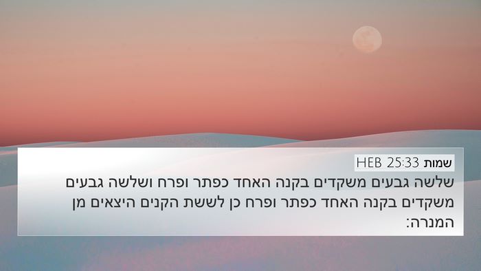 שמות 25:33 HEB Bible Verse Image