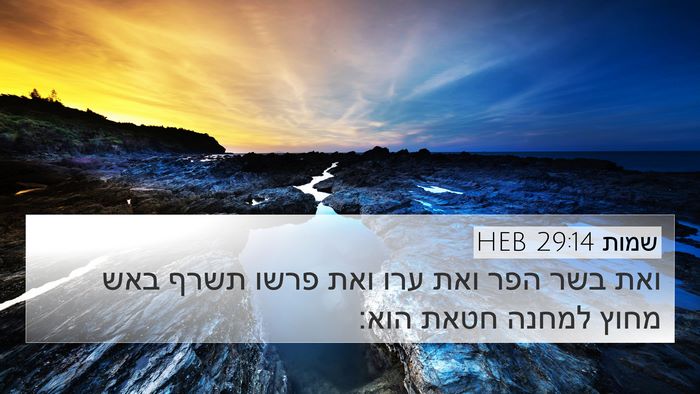 שמות 29:14 HEB Bible Verse Image