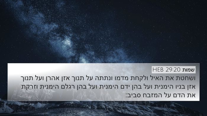 שמות 29:20 HEB Bible Verse Image