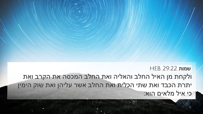 שמות 29:22 HEB Bible Verse Image