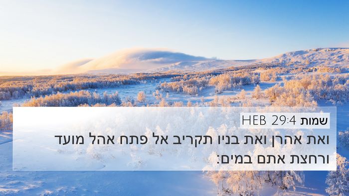שמות 29:4 HEB Bible Verse Image