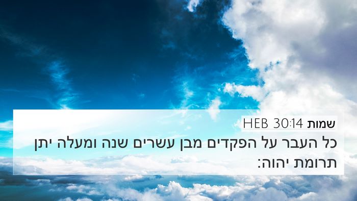 שמות 30:14 HEB 4K Wallpaper - כל העבר על הפקדים מבן עשרים - 4K Wallpaper Bible Verse