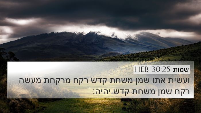 שמות 30:25 HEB Bible Verse Image