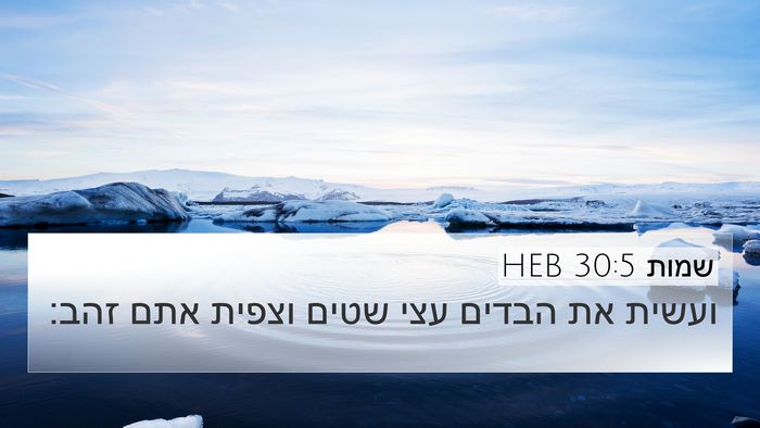 שמות 30:5 HEB Bible Verse Image