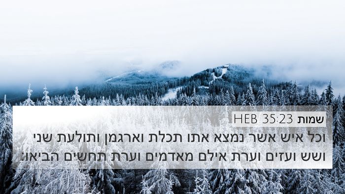 שמות 35:23 HEB Bible Verse Image