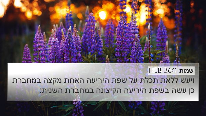שמות 36:11 HEB Bible Verse Image